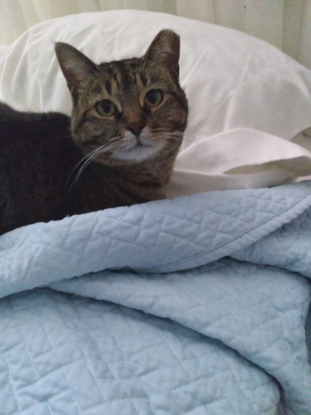 Audrey