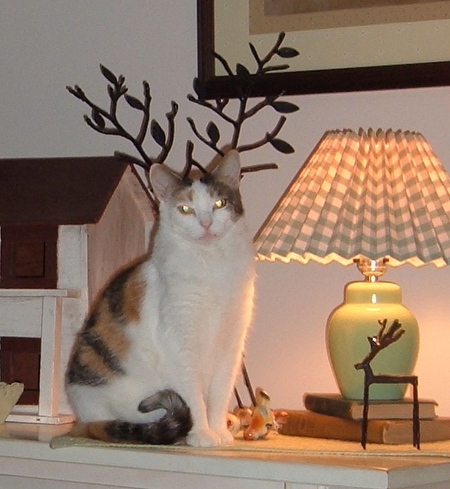 Katie