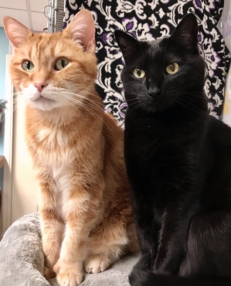 Moe & Ajay 