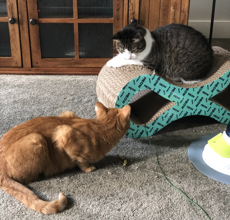 Walker and Samantha