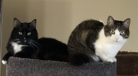 Whiskers and Samantha