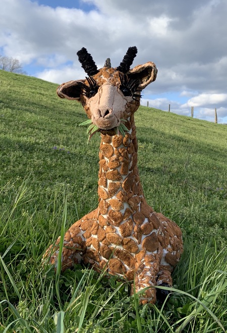 Giraffe having a Peep snack 