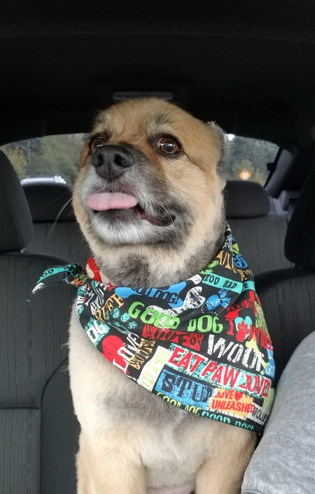 Toby - I'm looking SHARP!