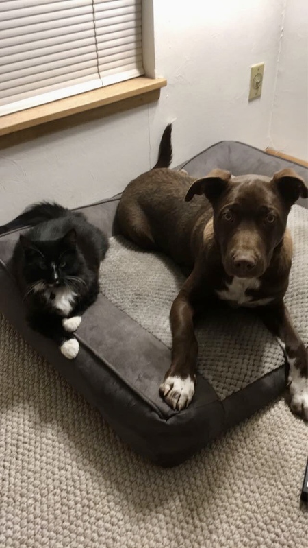Socks & Ragnar