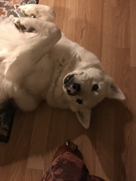 Ghost
