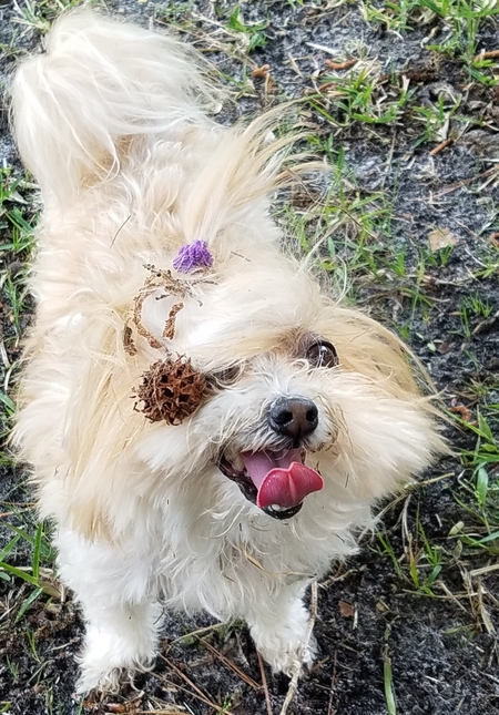 Rosie