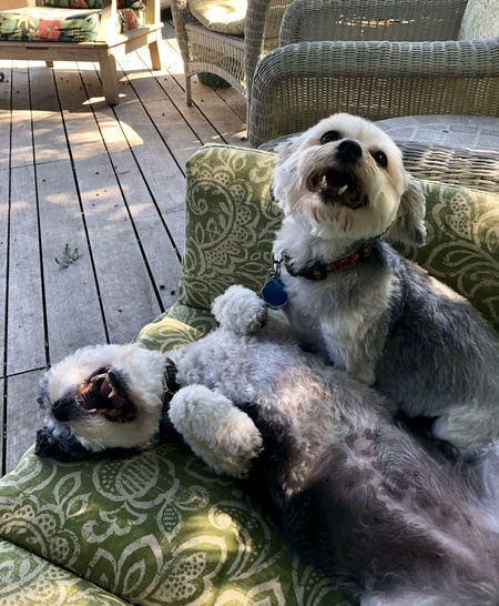 Maggie & Molly
