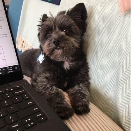 Winston