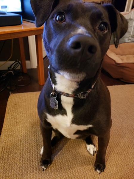 Lola