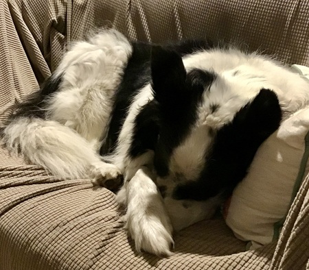 Kona