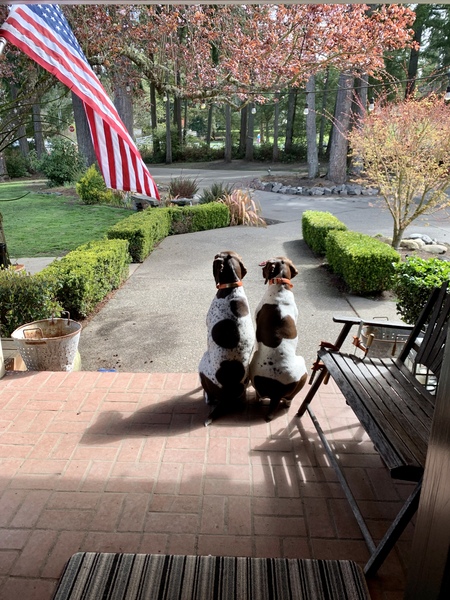 Birdie and Rainie