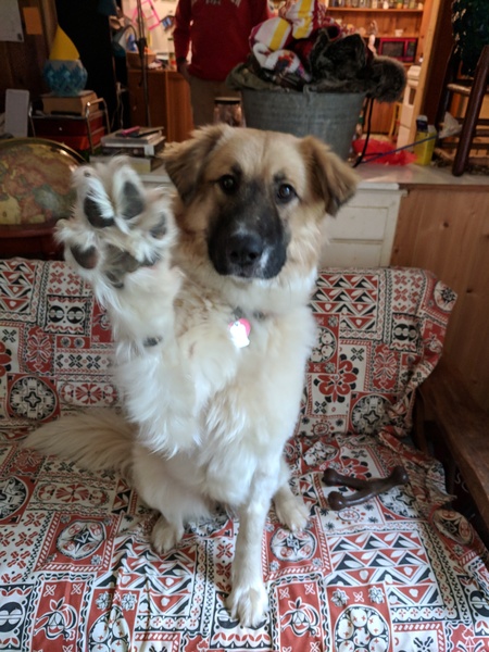 Winnie