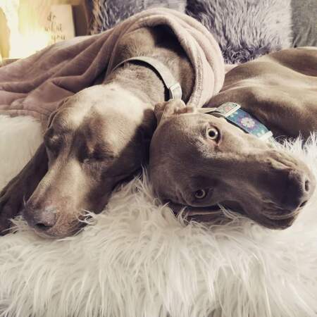 Tucker and Belle