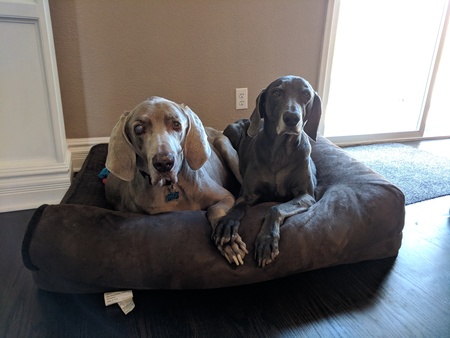 Max & Mia