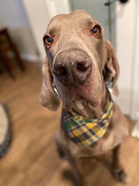 George