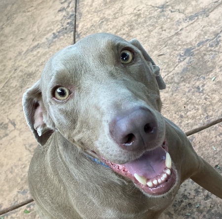 Bruce
