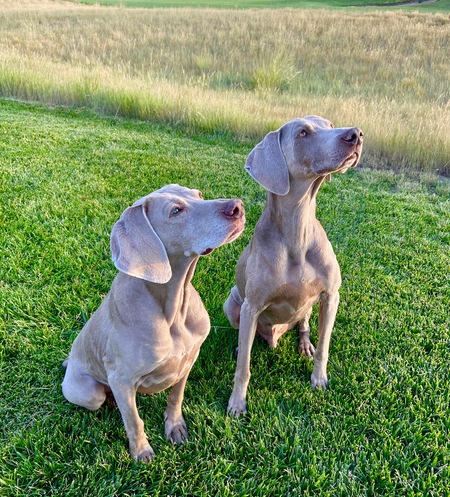 Sweet P and Prince