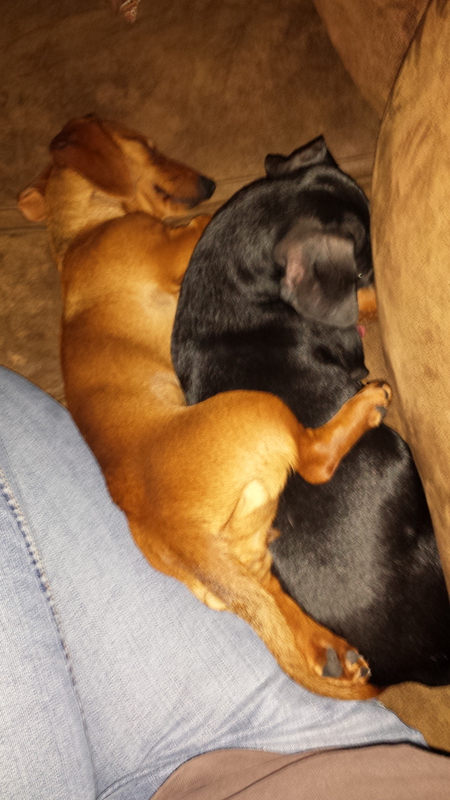 Bella and Katie