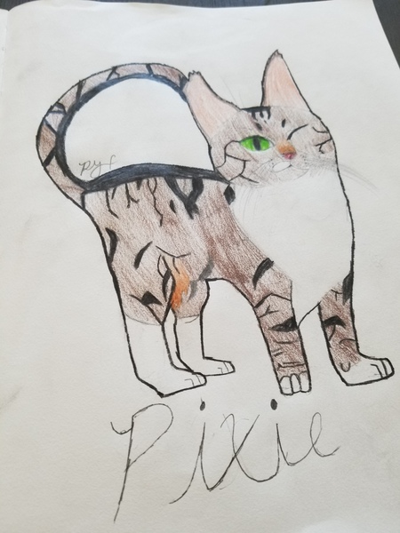 Pixie