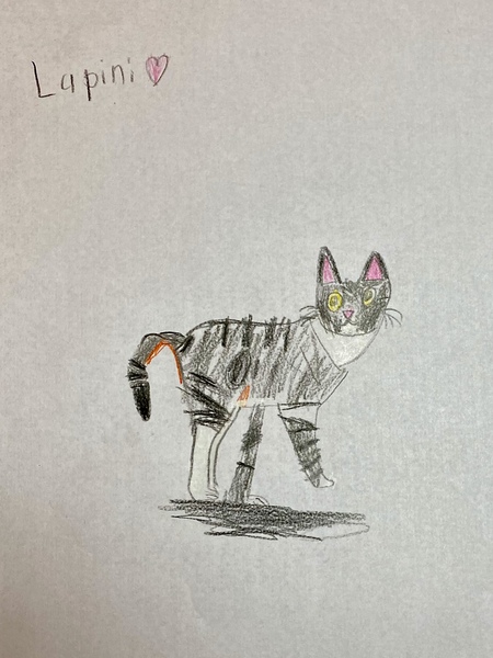 Lupini