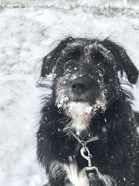 Bella