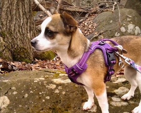 Ruthie