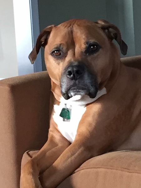 Finnegan 