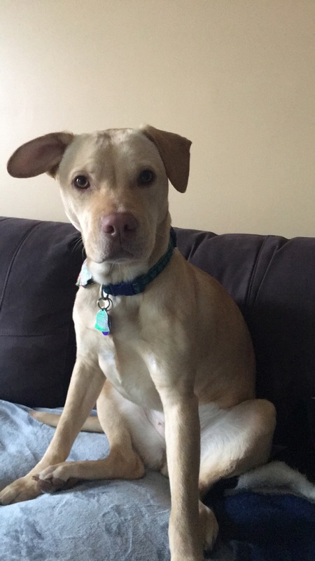Sadie 