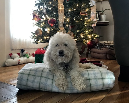 Murphy