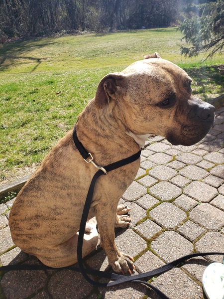 Fred