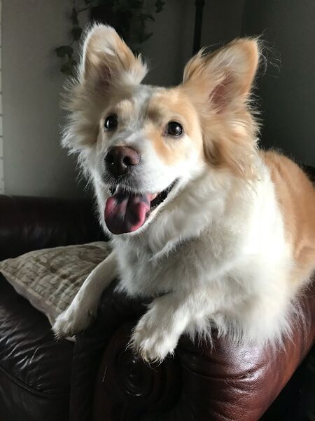 Livvy 