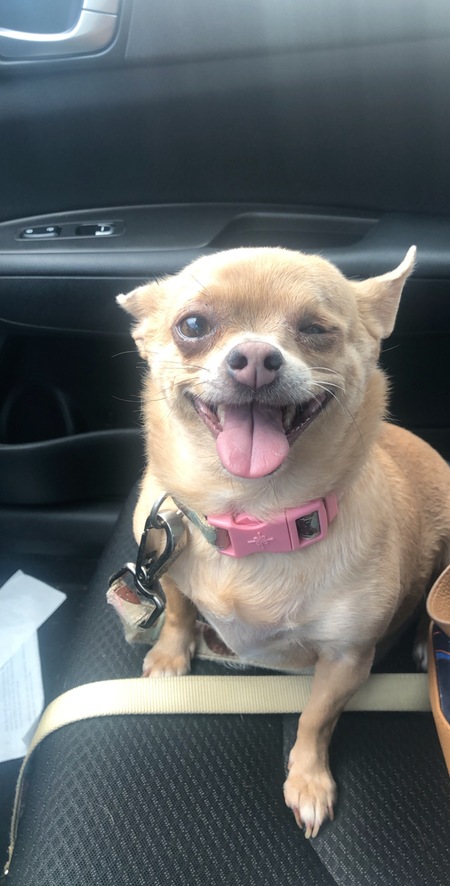 Fetty Marie
