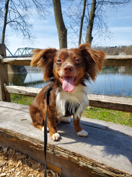 Rocky