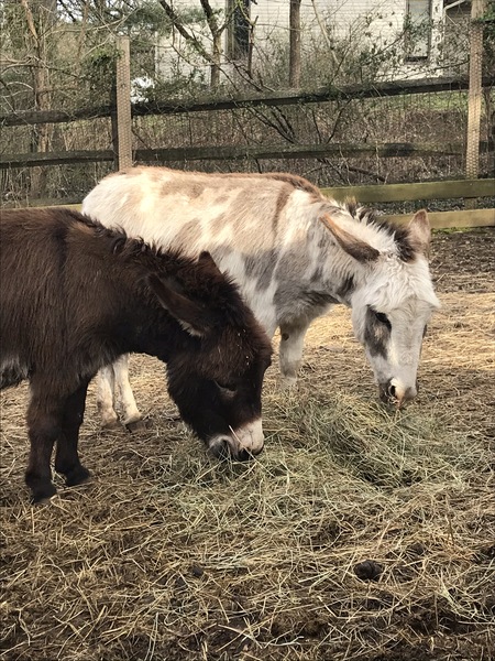 Leroy and Jethro