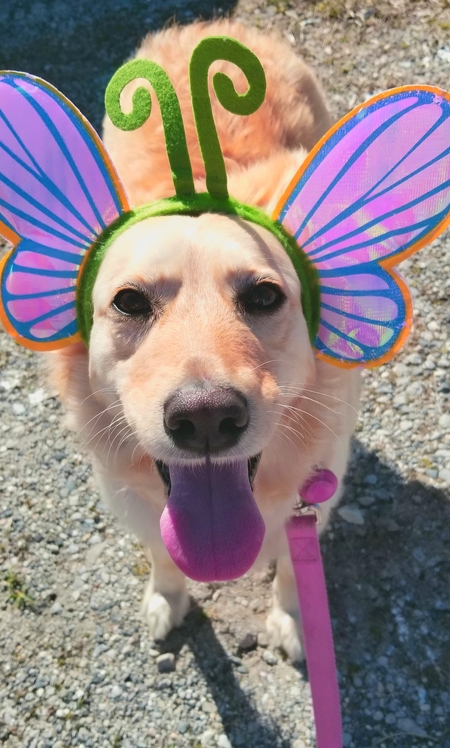 Gracie Mae 