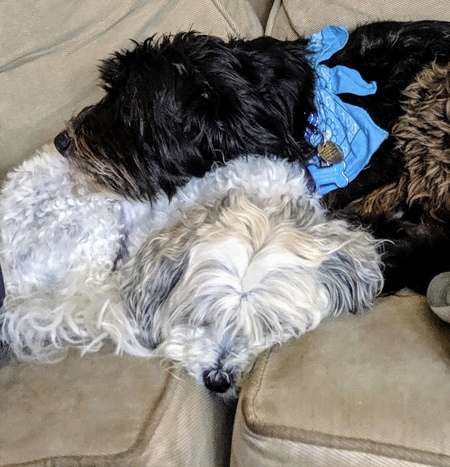 Jinxy (Diego) & Chipper (Duffy)