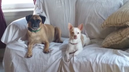 Sal and Dolly
