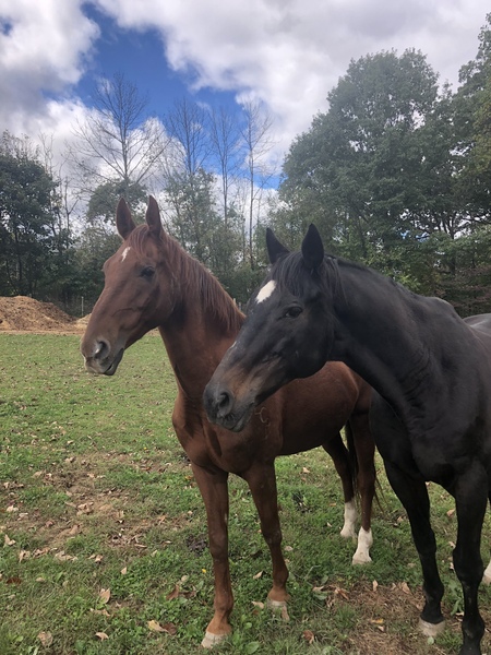 Rory and Jet