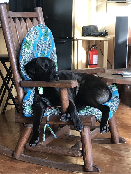 Cashew Bibble