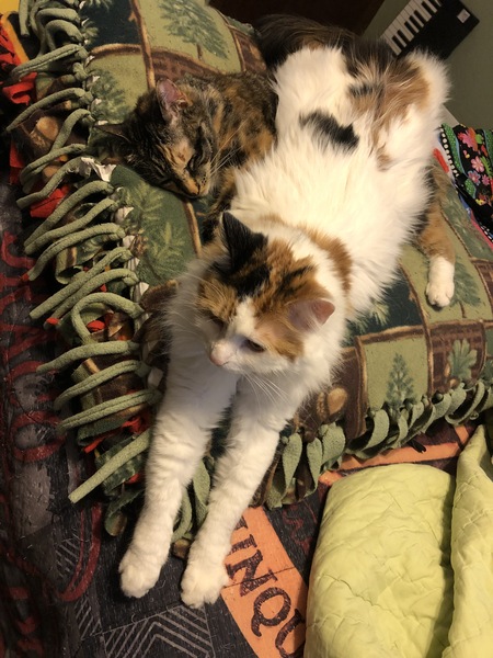 Pickett and Arya