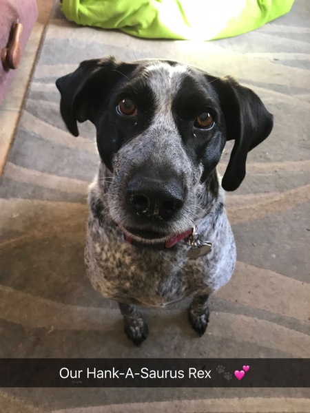 Hank