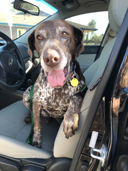Roscoe