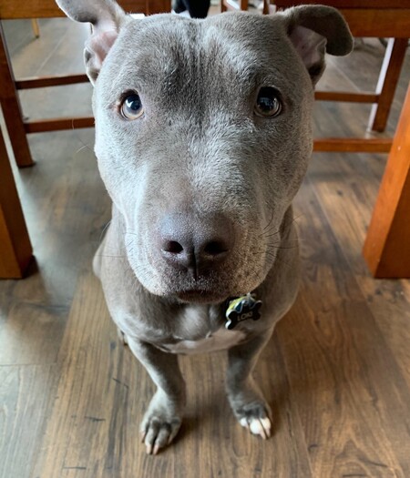 Loki