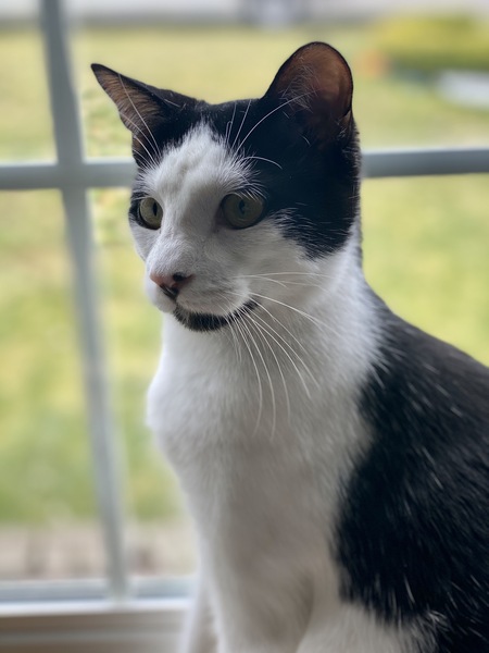 Jack
