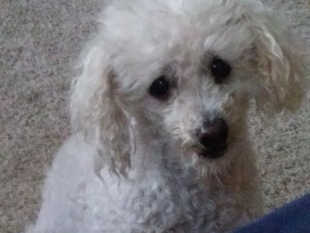 Charlie