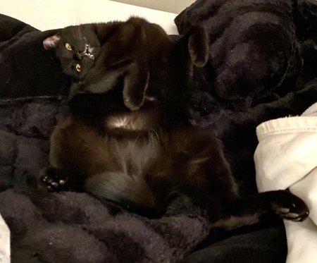 Binx