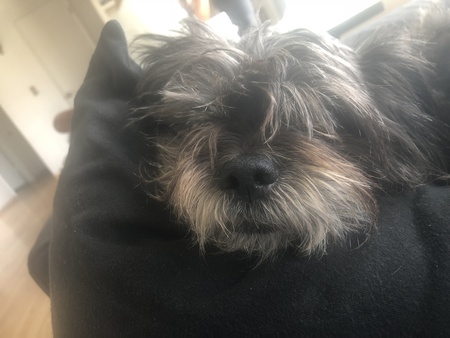 Mimi