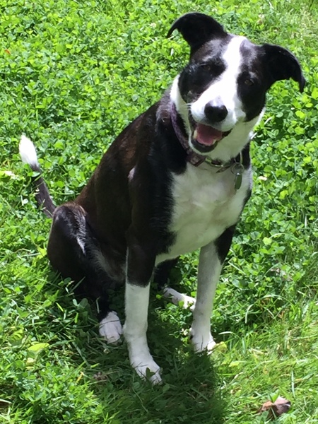 Gracie