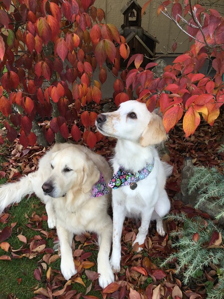 Mila and Glory