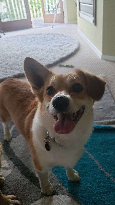 Nacho